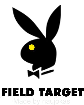Field target.jpg